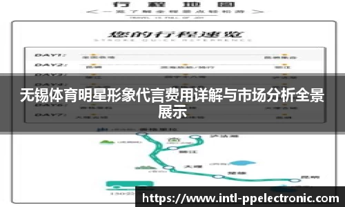 无锡体育明星形象代言费用详解与市场分析全景展示