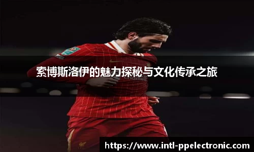 pp电子官网